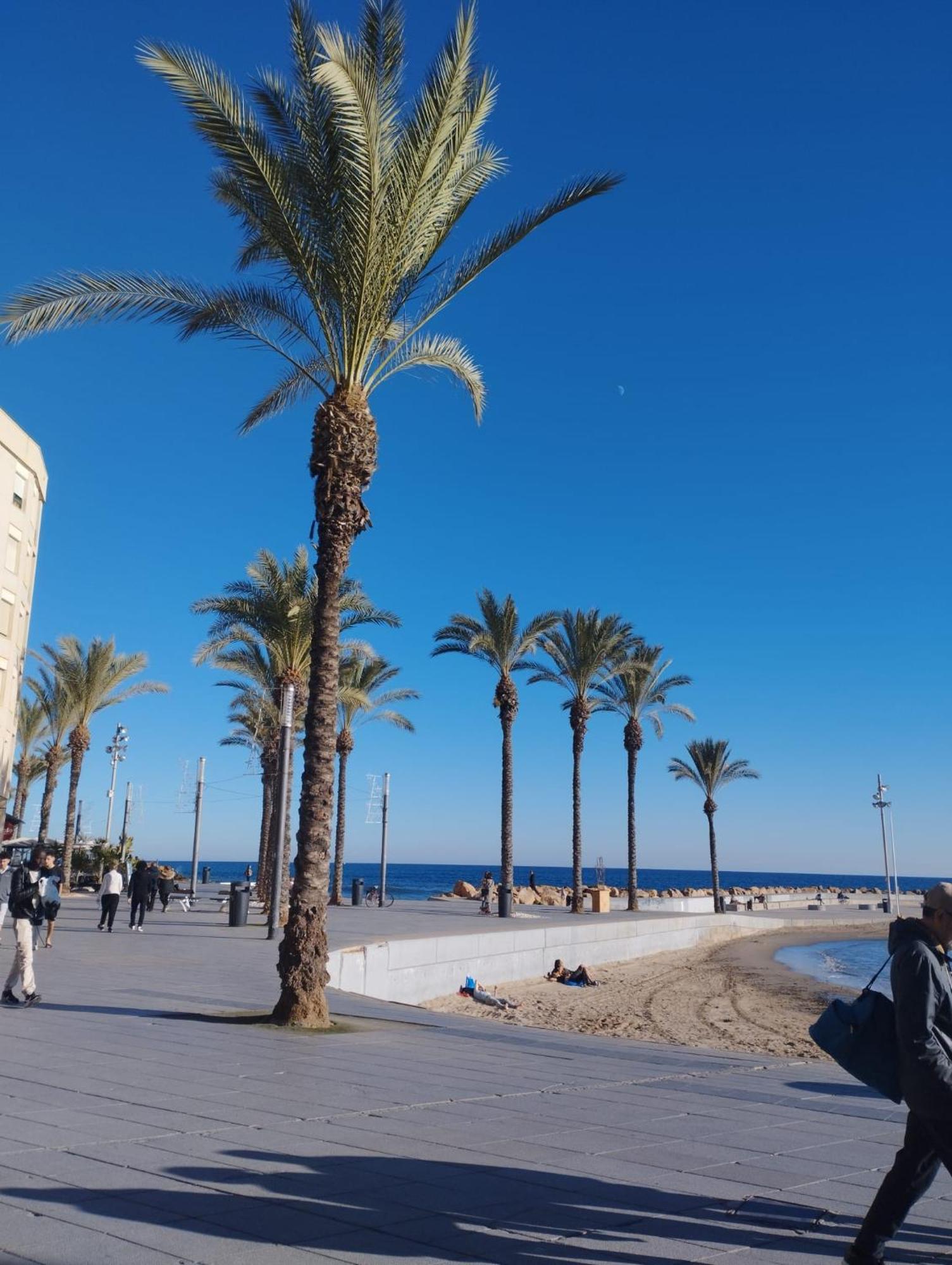 Просторная Квартира Рядом С Морем В Хорошем Районе Torrevieja Kültér fotó